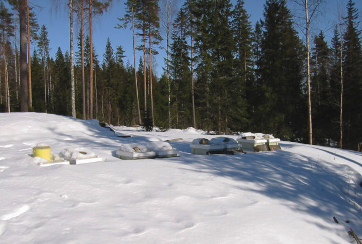 Mehiläistarhan pesät talvella