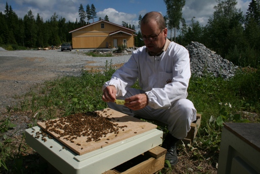 Mehiläishoitaja hoitamassa mehiläisemoja