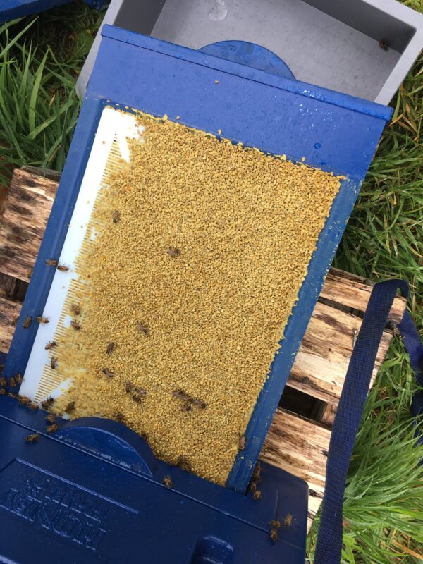 Pollen trap, Honey Paw Honey Paw -siitepölynkeräin