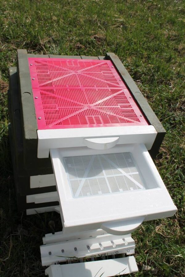 Pollen trap, Honey Paw Honey Paw -siitepölynkeräin